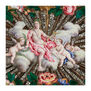 Apollo and cherubs microfibre lens cloth